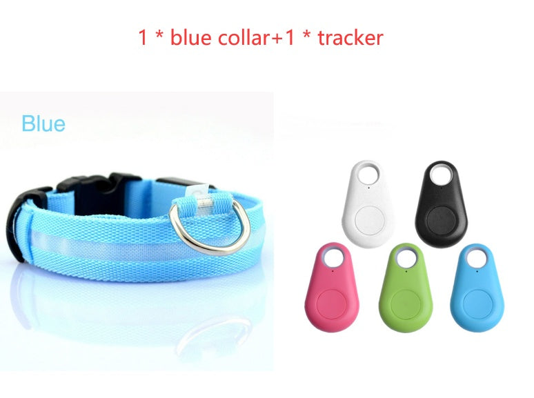 Light-Up Dog Collar – Safe Walks Day or Night