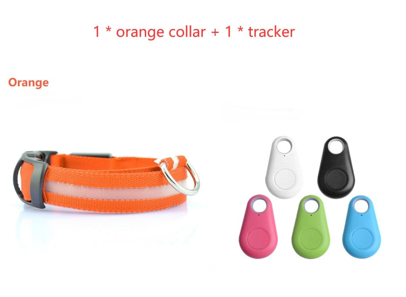 Light-Up Dog Collar – Safe Walks Day or Night