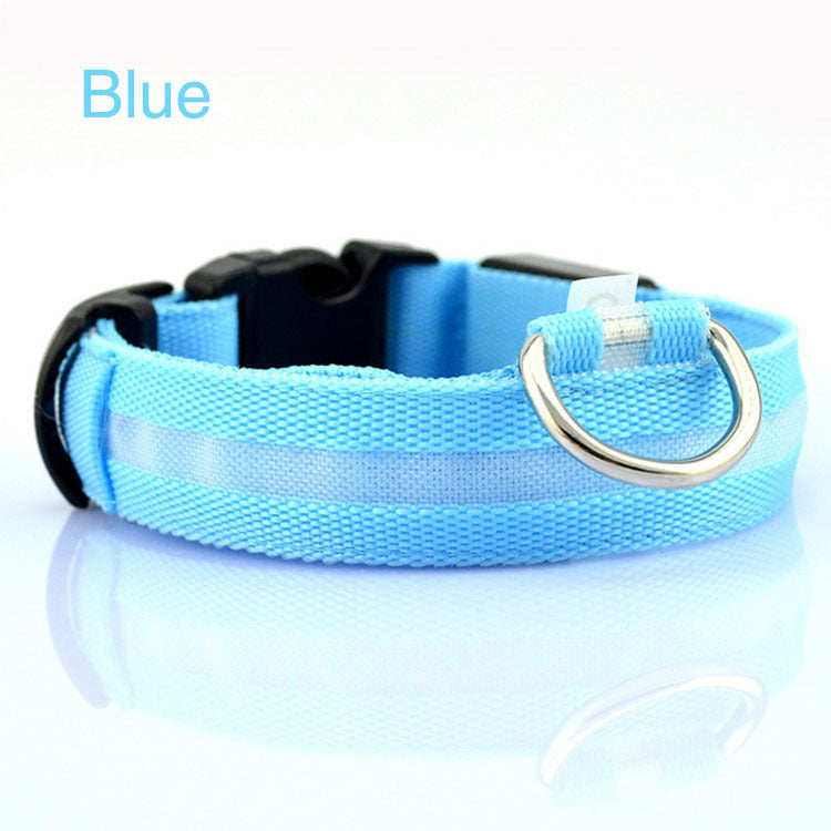 Light-Up Dog Collar – Safe Walks Day or Night