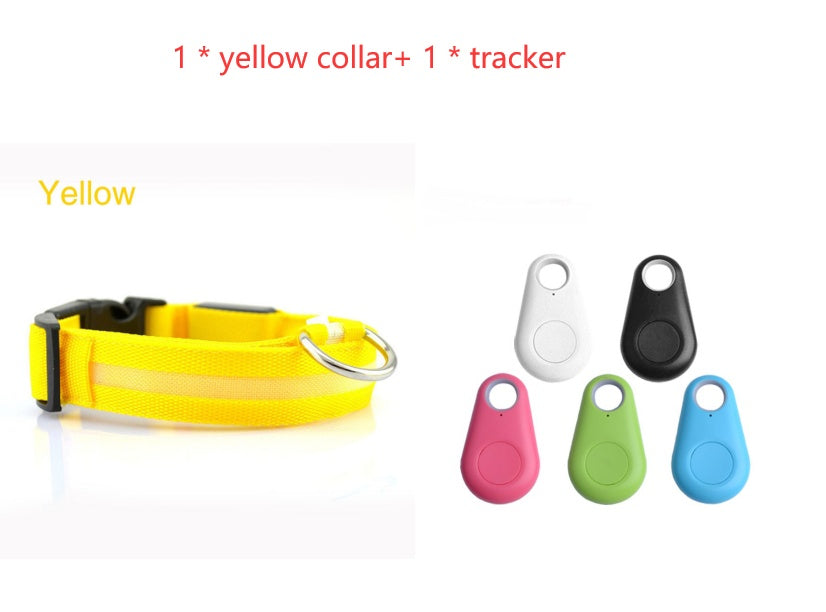 Light-Up Dog Collar – Safe Walks Day or Night