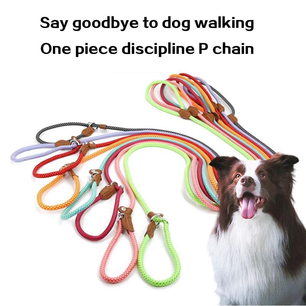 Strong and Sturdy Nylon Dog Collar, Lead, P Type