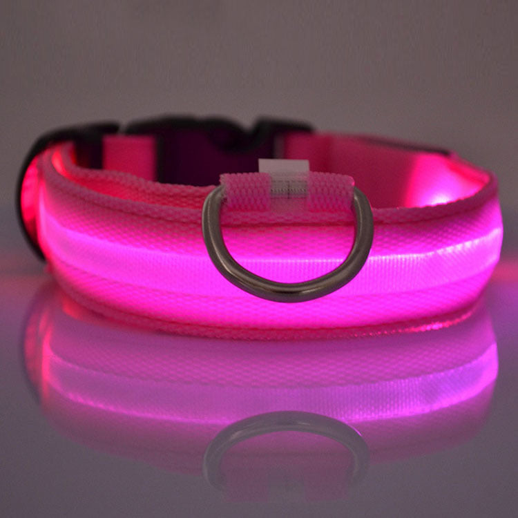 Light-Up Dog Collar – Safe Walks Day or Night