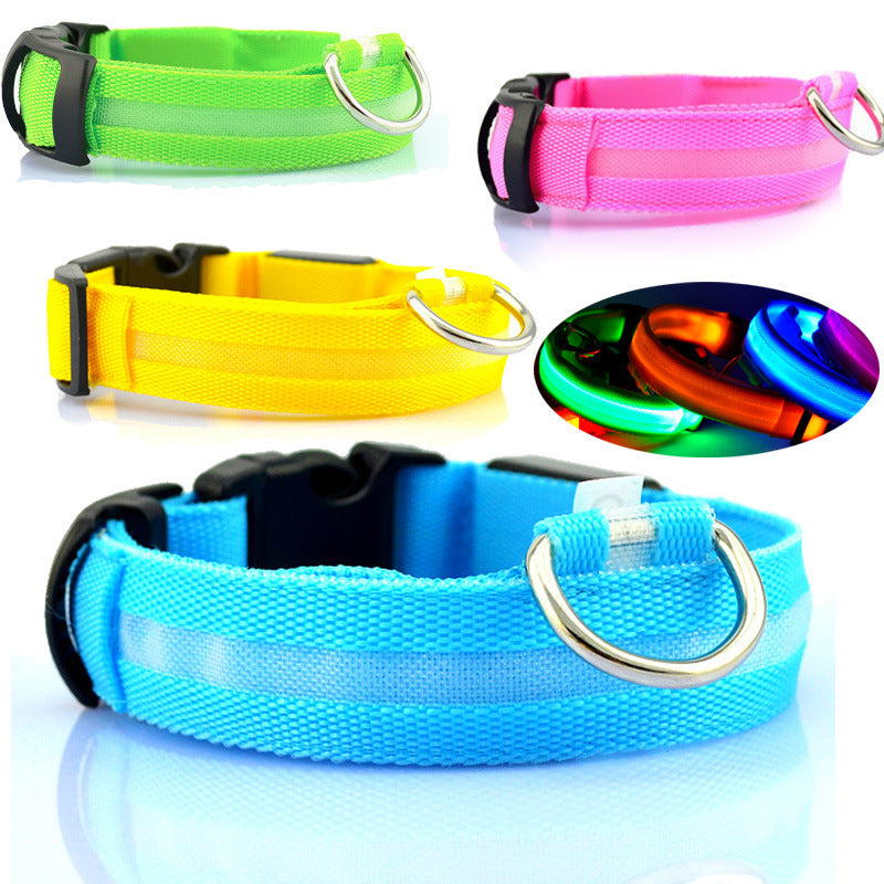 Light-Up Dog Collar – Safe Walks Day or Night