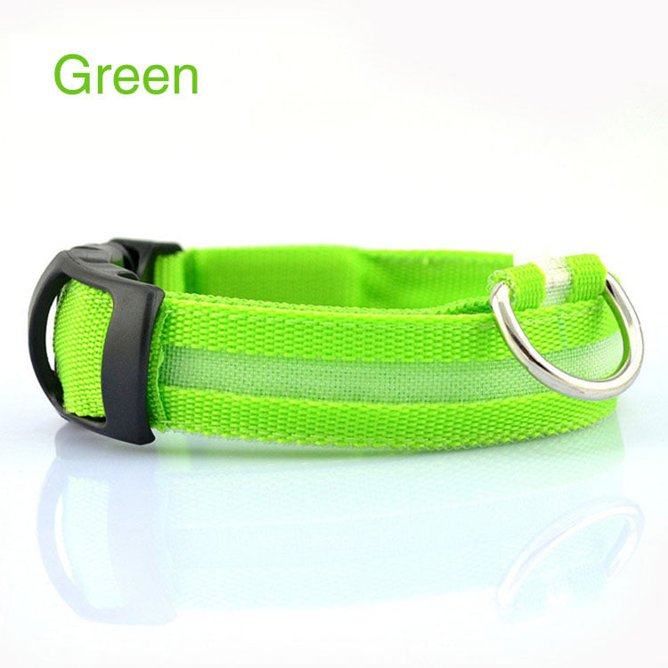 Light-Up Dog Collar – Safe Walks Day or Night