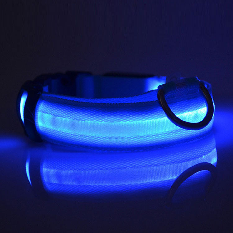 Light-Up Dog Collar – Safe Walks Day or Night