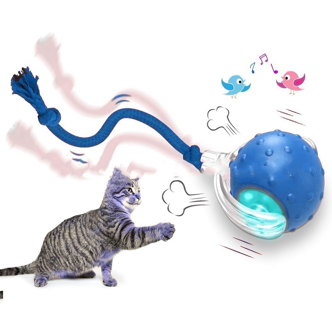 Interactive Cat Toy – Fight Boredom, Boost Happiness