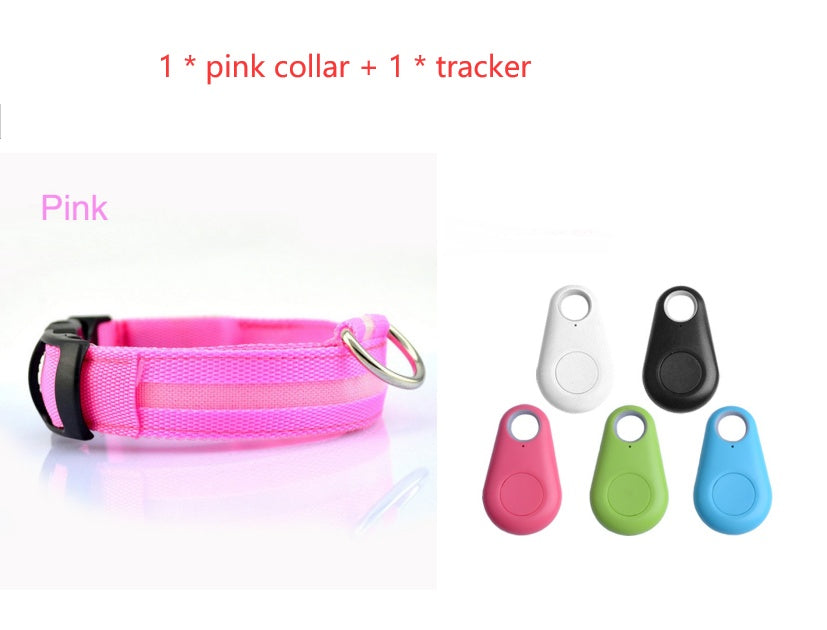 Light-Up Dog Collar – Safe Walks Day or Night