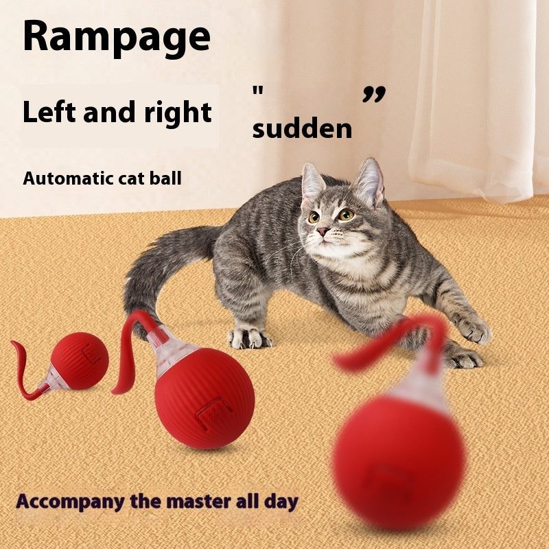 Interactive Cat Toy – Fight Boredom, Boost Happiness