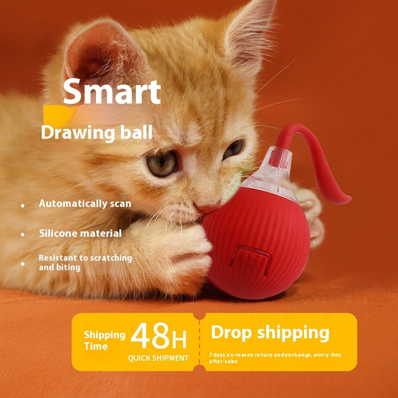 Interactive Cat Toy – Fight Boredom, Boost Happiness
