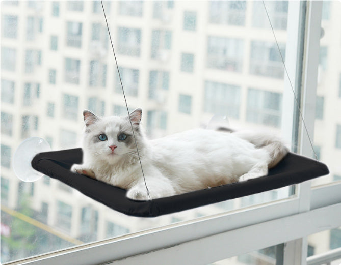 Sunny Cat Hammock – Give Your Kitty a Sky View