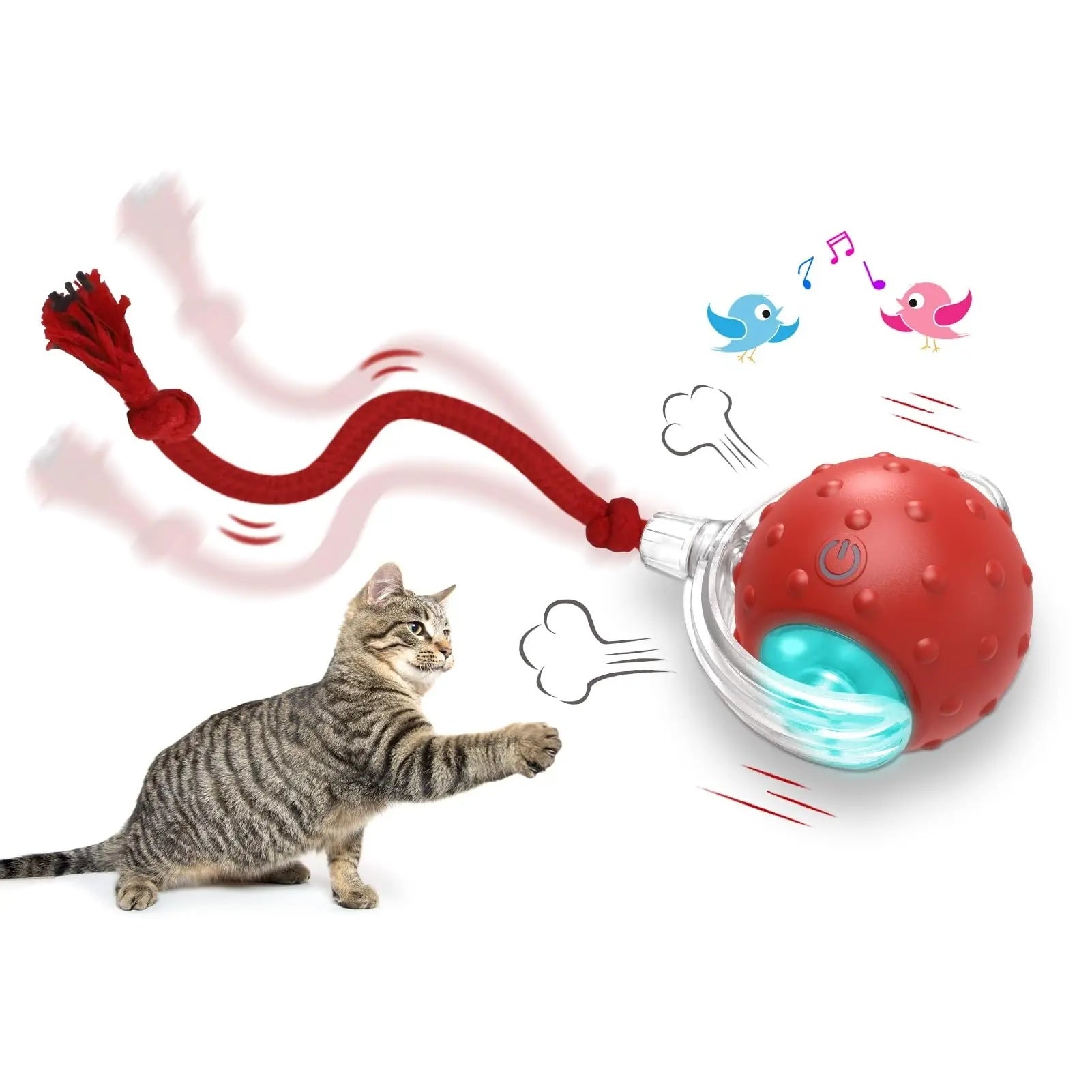Interactive Cat Toy – Fight Boredom, Boost Happiness